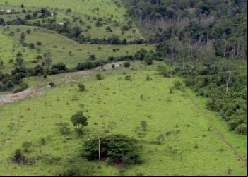 Proprietário rural pode emitir Certificado de Cadastro de Imóvel