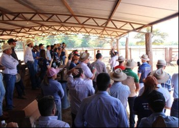Prova de ganho de peso em Silvanópolis destaca o melhor do nelore no Tocantins