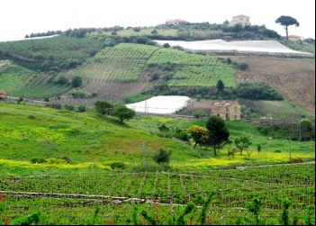 Agência de Fomento do Tocantins e Sindicato Rural abrem linha de crédito para produtores agrícolas em Xambioá