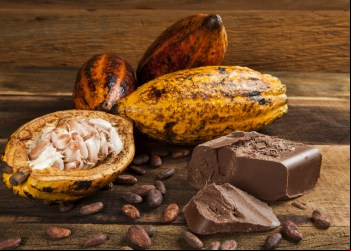 Descobrindo os Benefícios Nutricionais do Cacau
